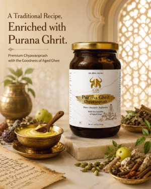 Gir Gauveda Chyawanprash – product image 2 of 7