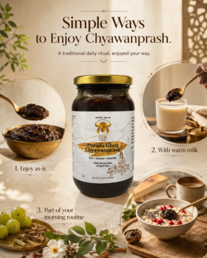 Gir Gauveda Chyawanprash – product image 3 of 7