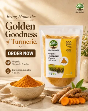 Go Earth Organic Turmeric Powder 500g – product image 7 of 7