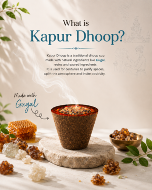Surbhika Kapur Dhoop Cup – 12 Cups – product image 2 of 7